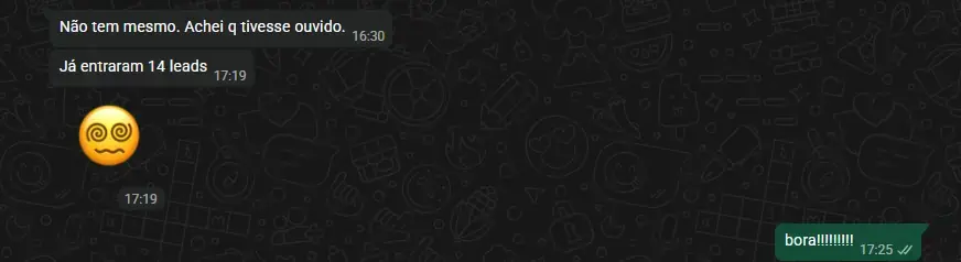 Cliente informando que já haviam entrado quatorze leads